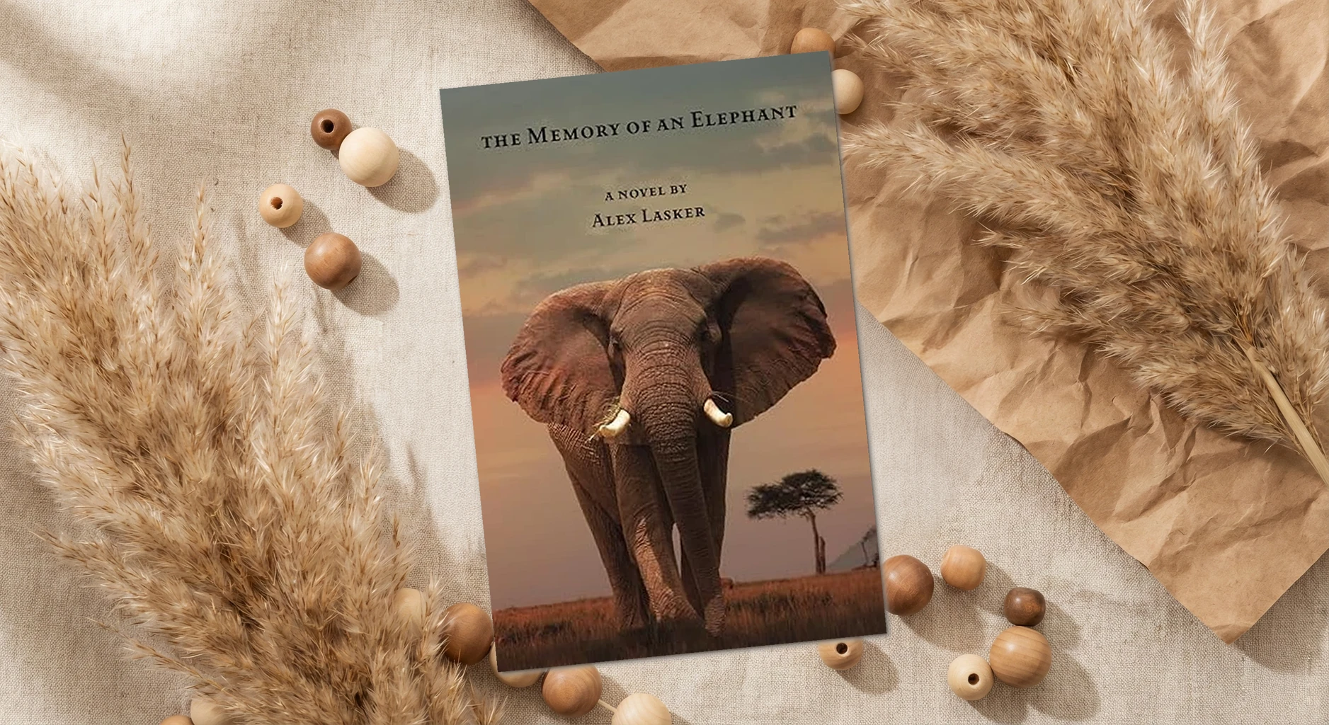 Cover of The Memory of an Elephant by Alex Lasker