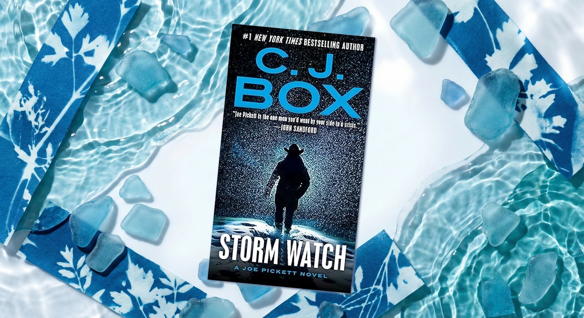 Cover of Storm Watch by C. J. Box
