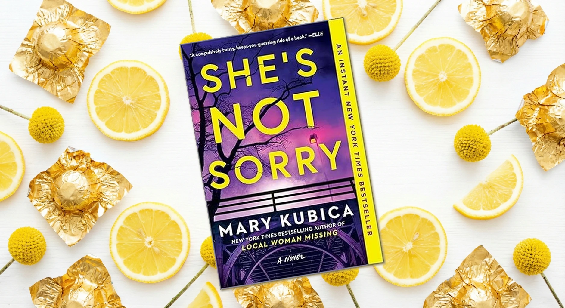 Cover of She's Not Sorry by Mary Kubica