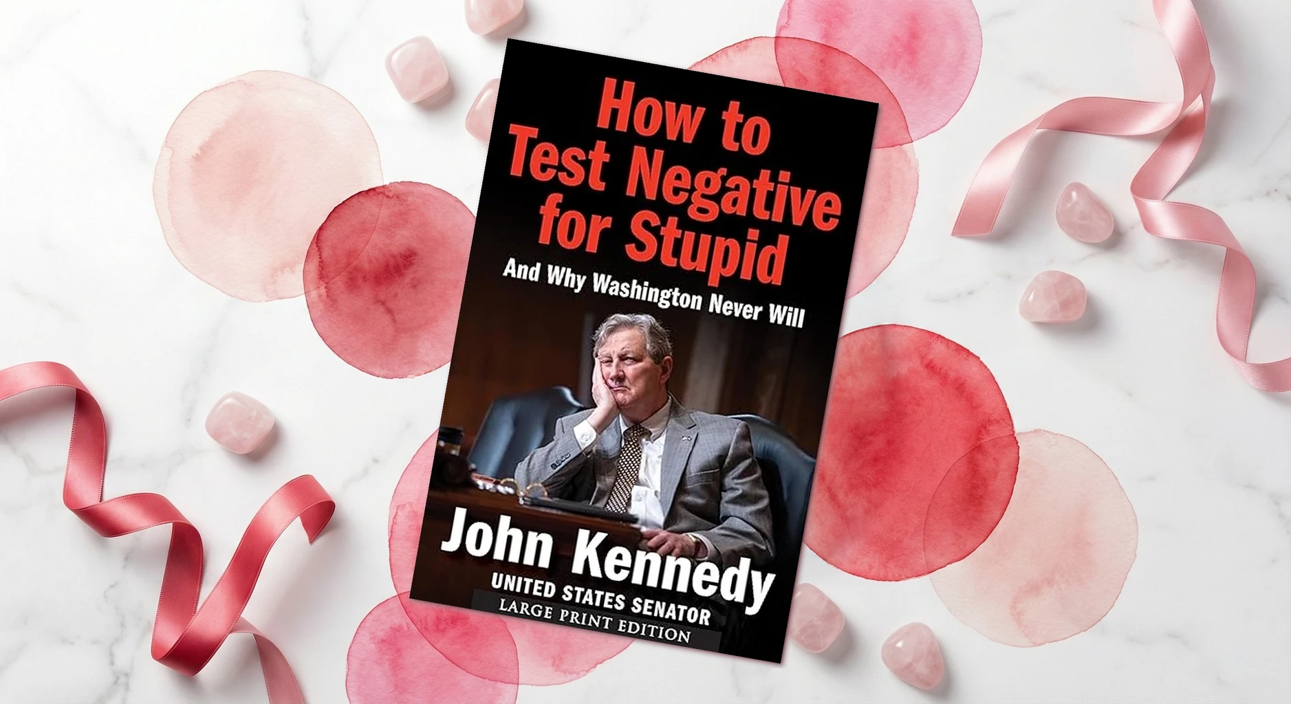 Cover of How to Test Negative for Stupid: And Why Washington Never Will by John Kennedy