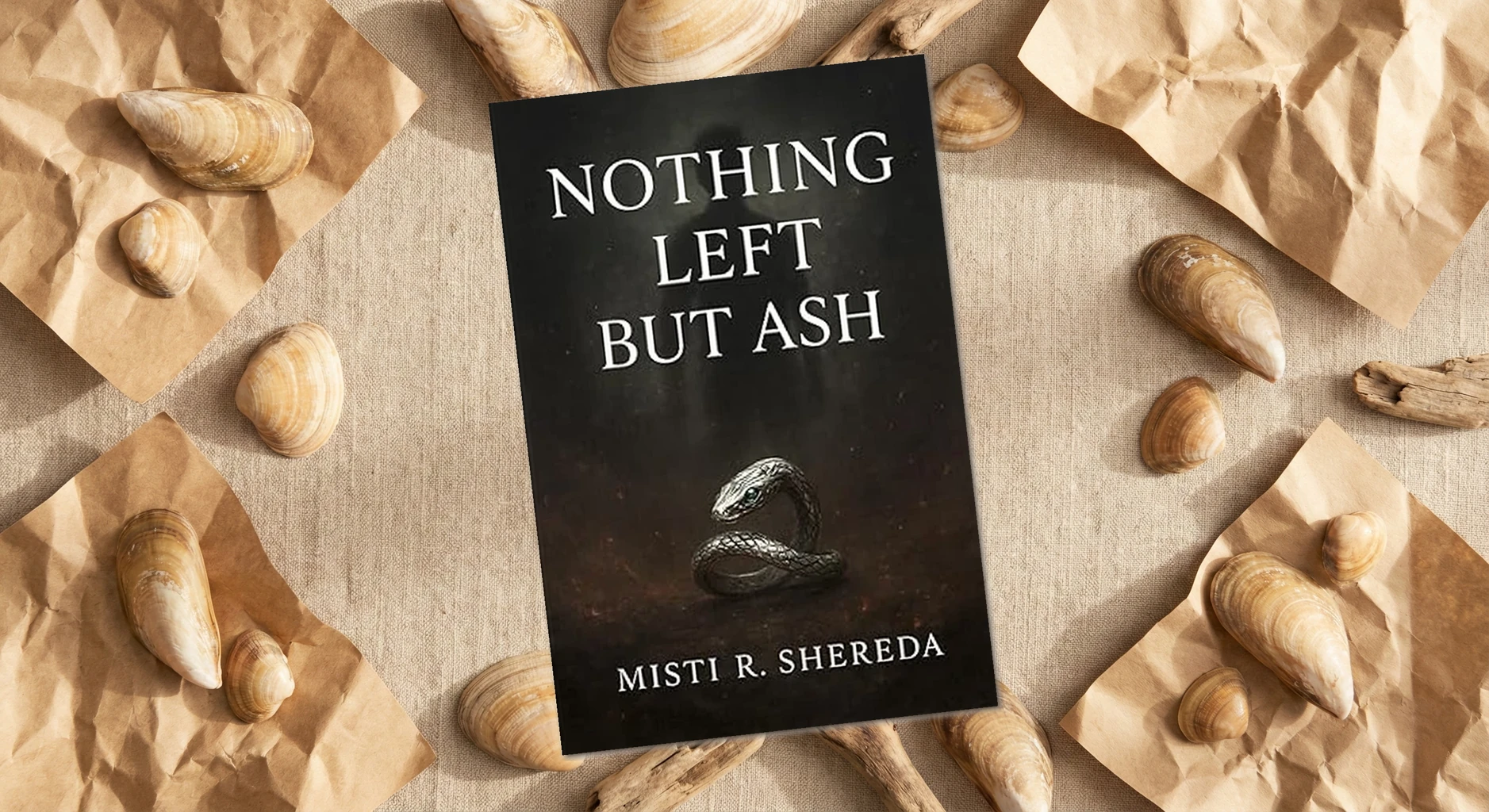 Cover of Nothing Left But Ash by Misti R Shereda