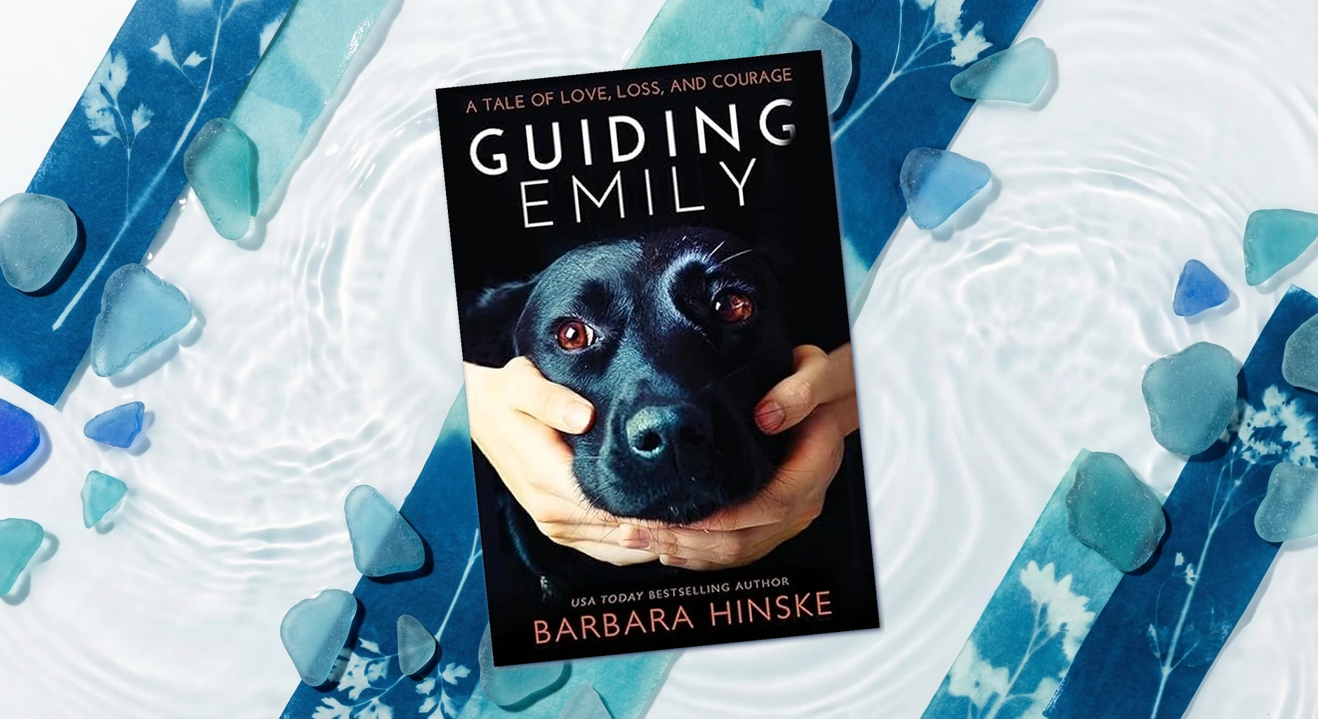 Cover of Guiding Emily by Barbara Hinske