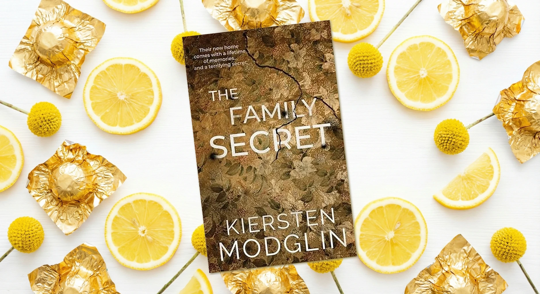 Cover of The Family Secret by Kiersten Modglin
