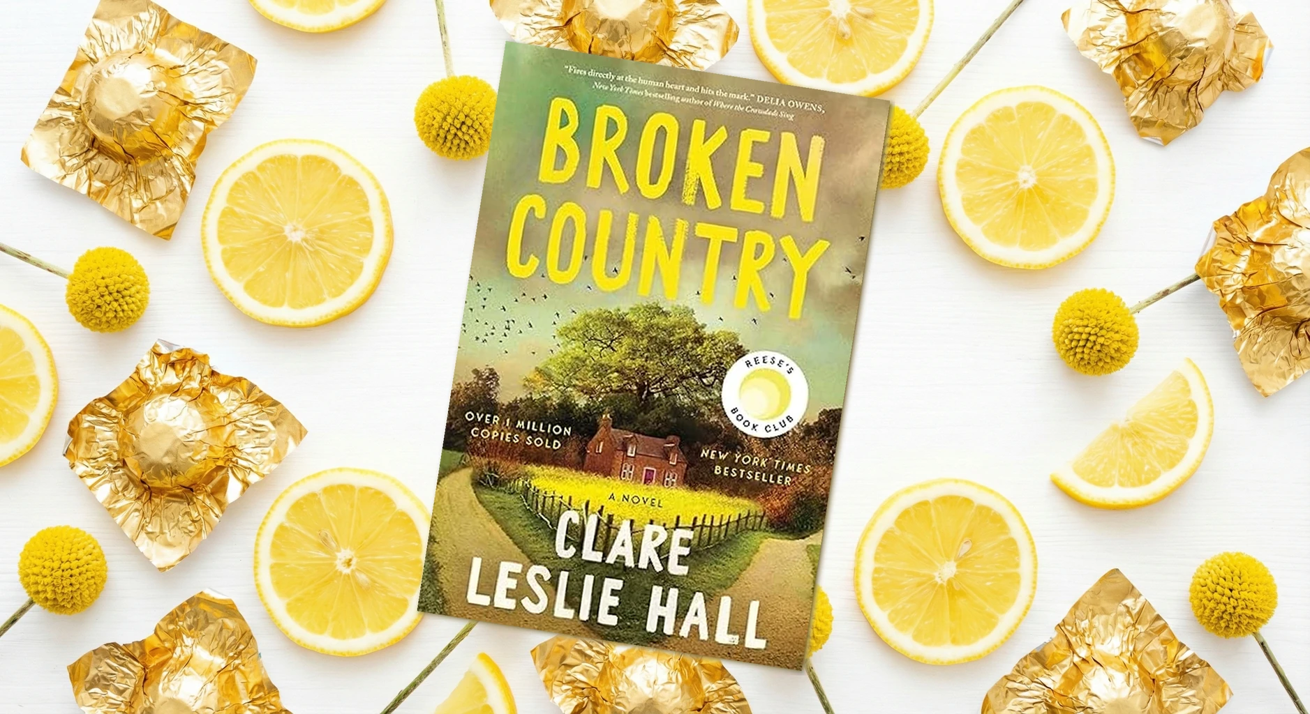 Cover of Broken Country by Clare Leslie Hall