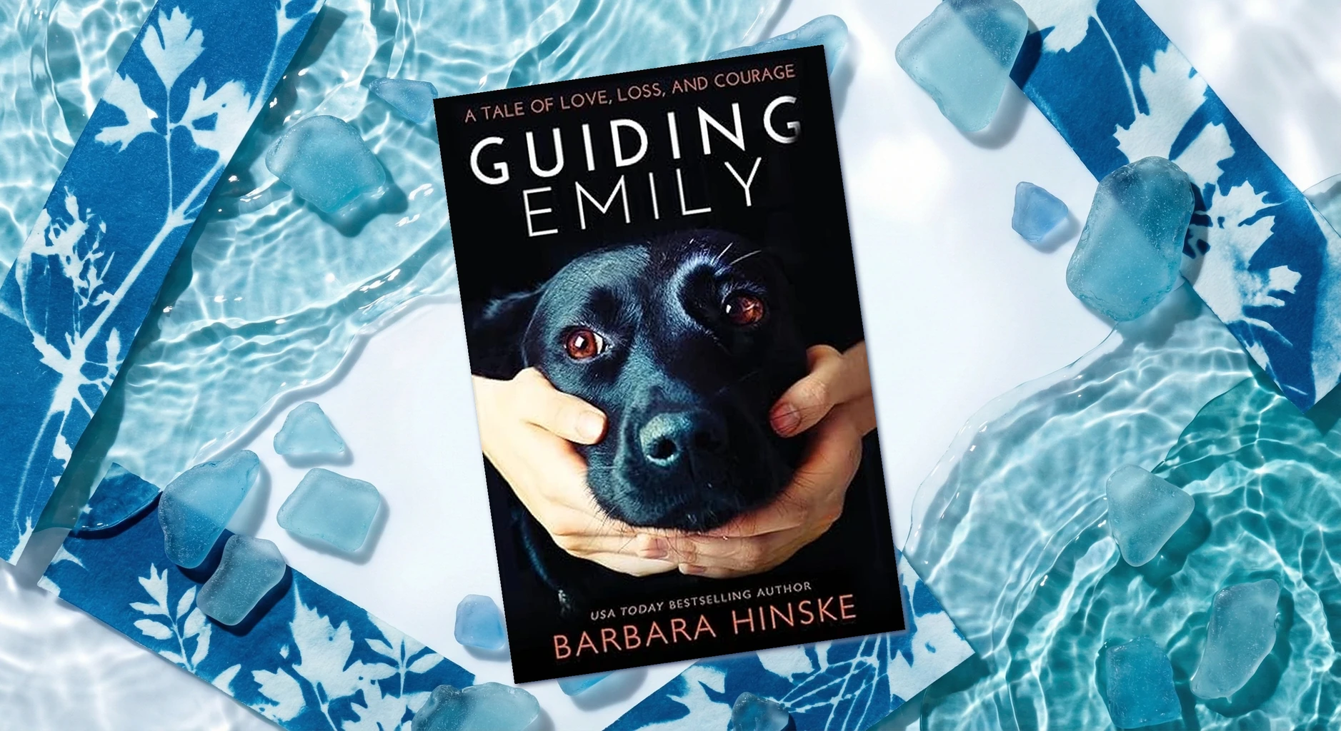 Cover of Guiding Emily by Barbara Hinske