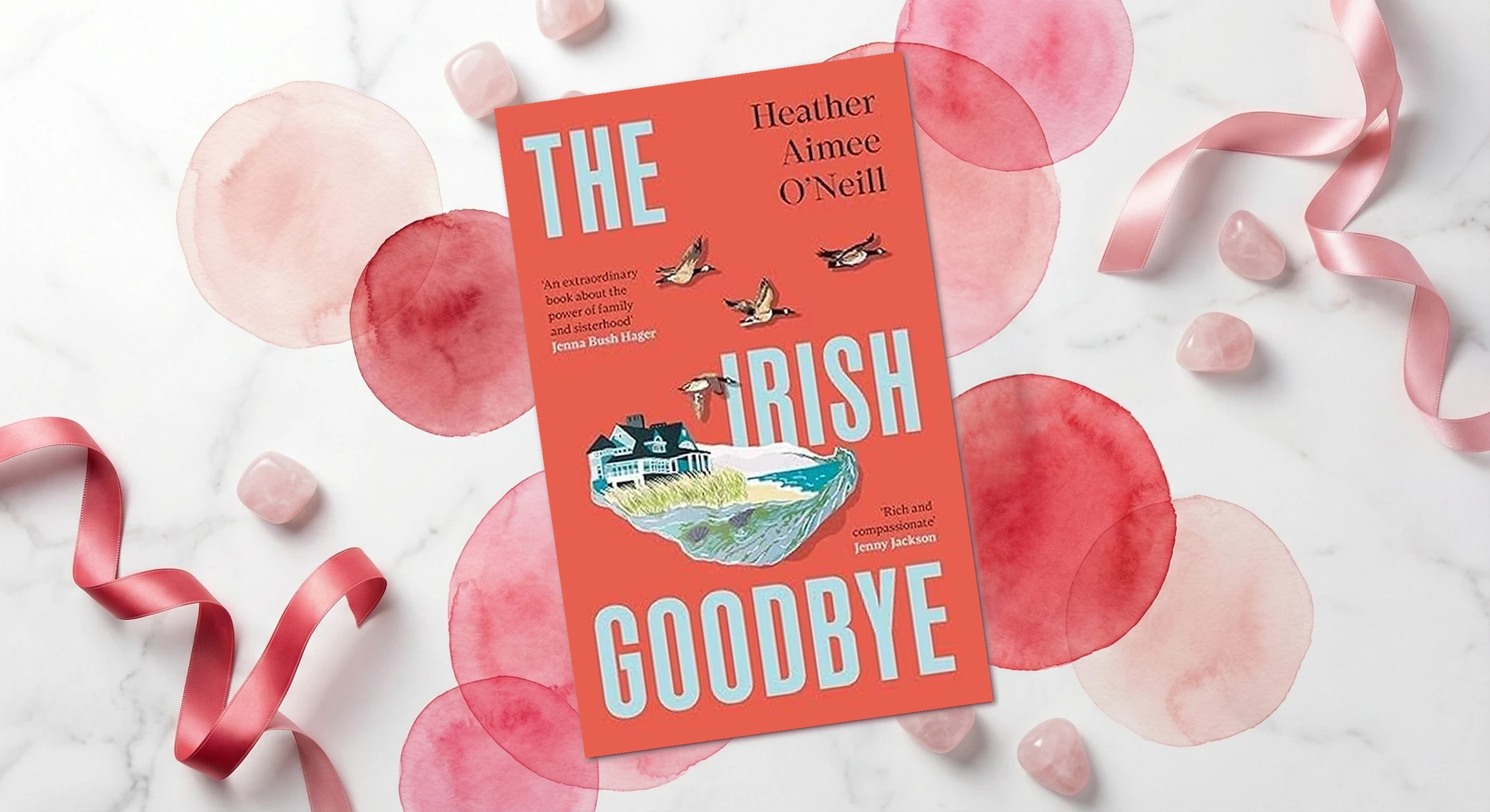 Cover of The irish goodbye by Heather Aimee O'Neill