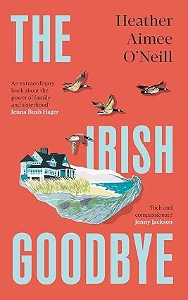 Cover of The irish goodbye