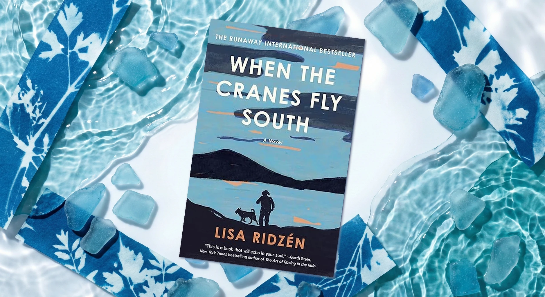 Cover of When the Cranes Fly South by Lisa Ridzén
