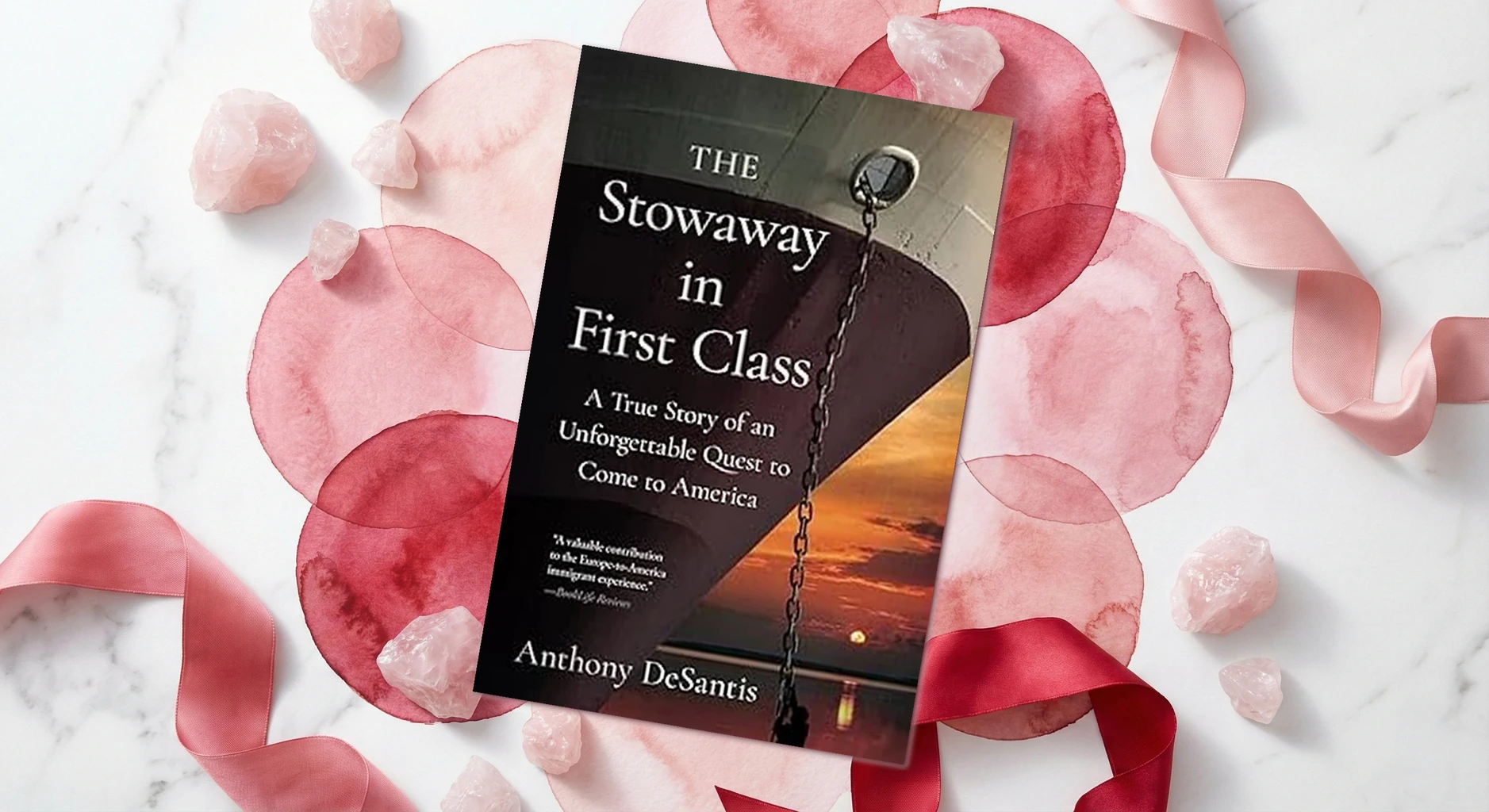 Cover of The Stowaway in First Class by Anthony DeSantis